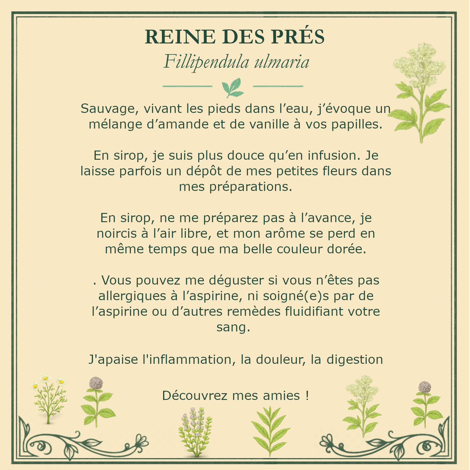 Carte botanique de reine des prés