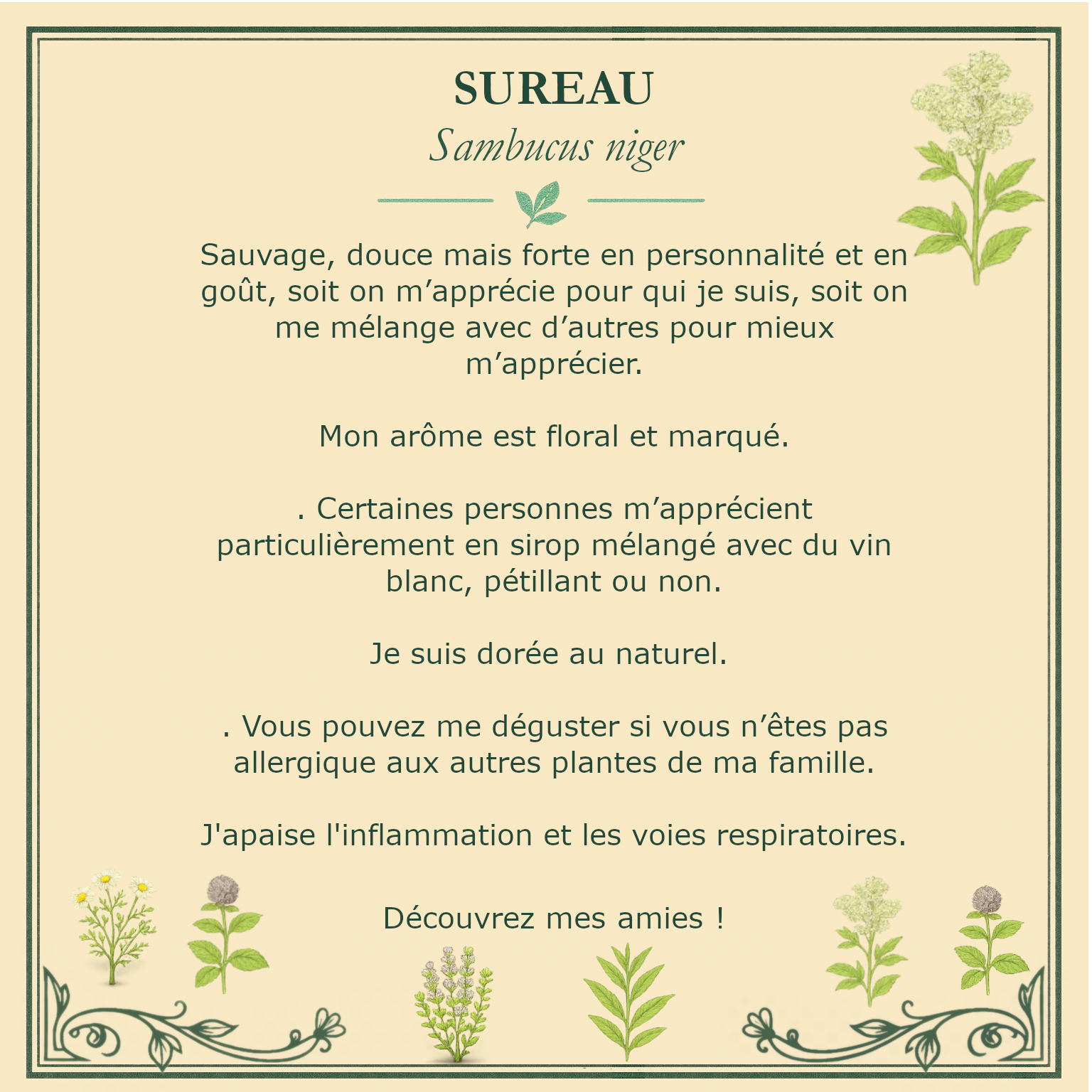Carte botanique de sureau